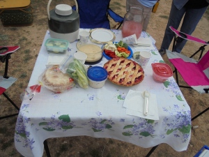 williscreek_picnic
